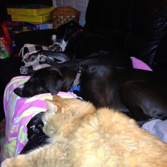 Meet your Posher, Marlea - Picture 1 of 1